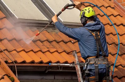 Démoussage et hydrofuge de toiture à la Tagnière